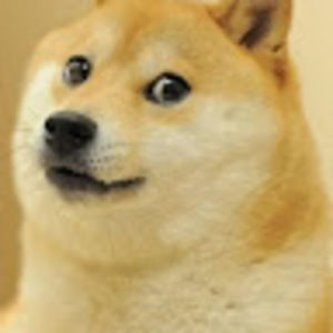 Meet your Posher, Nong